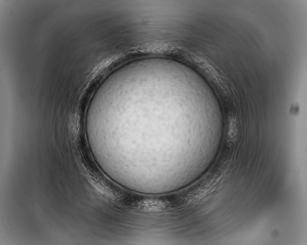 X0000100930636200807011222