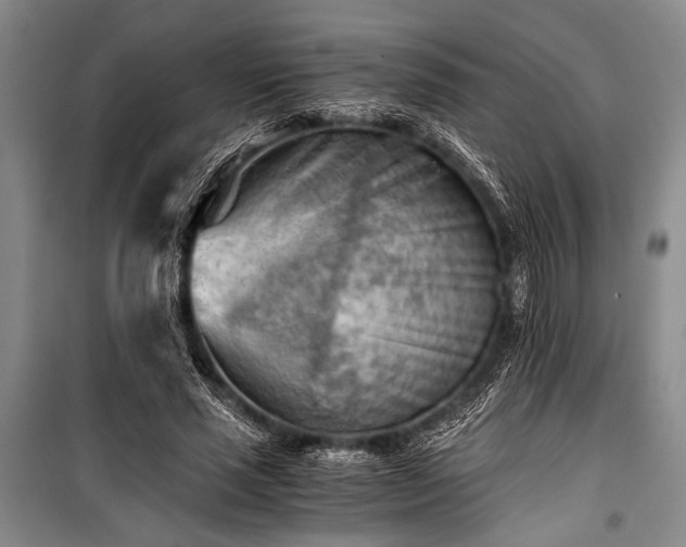 X0000100930637200807011222