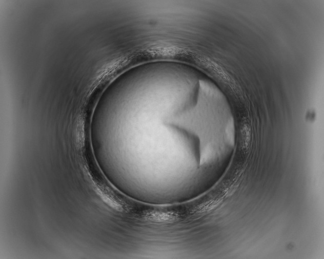 X0000100930638200807011222