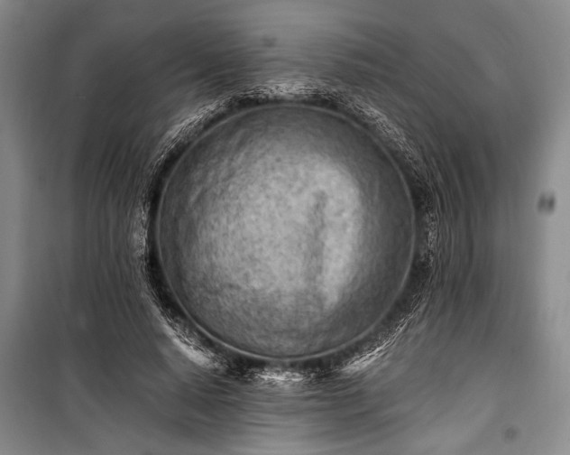 X0000100930640200807011222