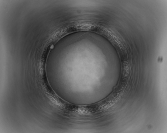 X0000100930641200807011222