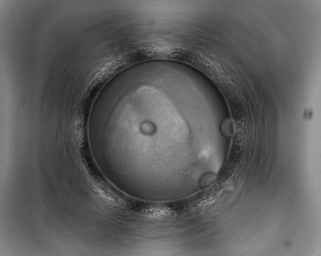 X0000100930642200807011222