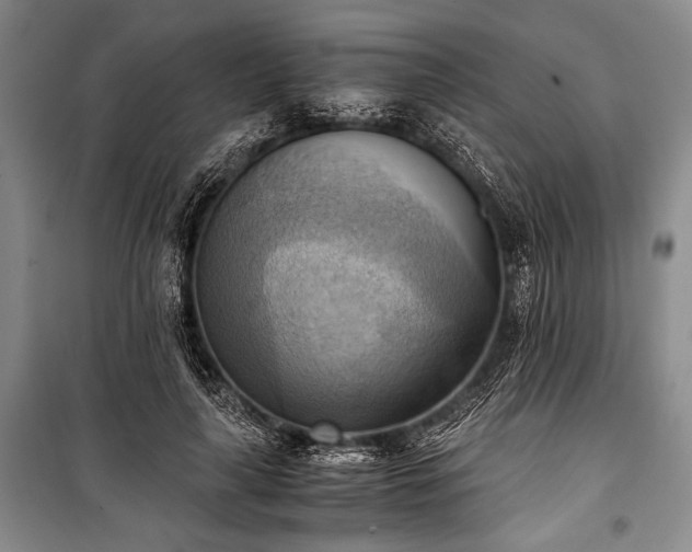 X0000100930643200807011222