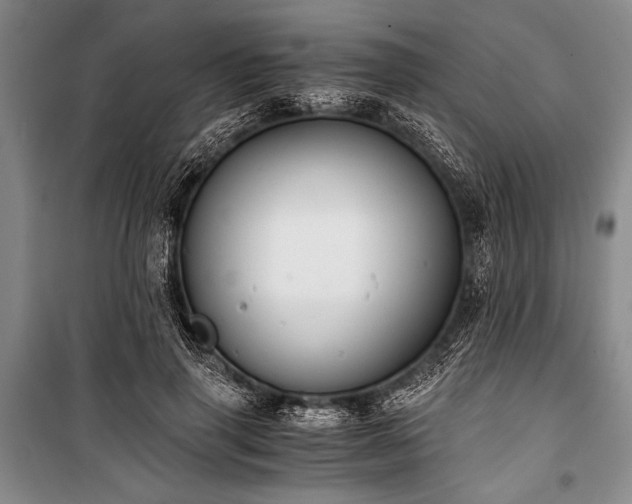 X0000100930645200807011222