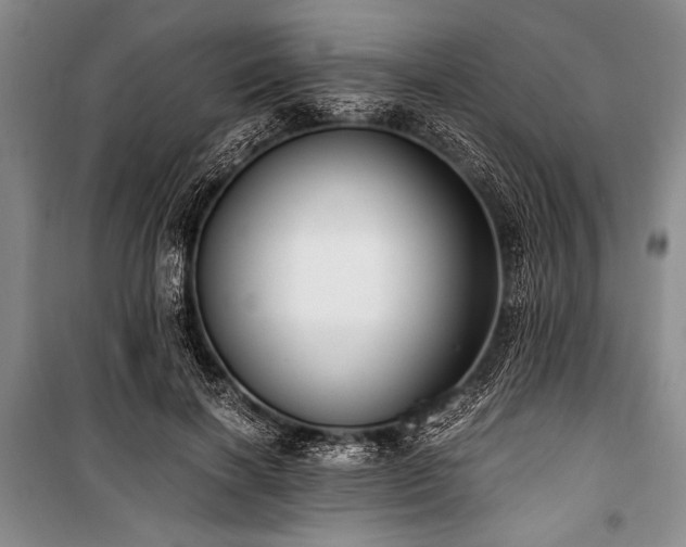 X0000100930646200807011222