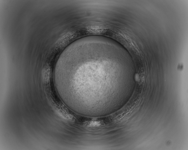 X0000100930647200807011222