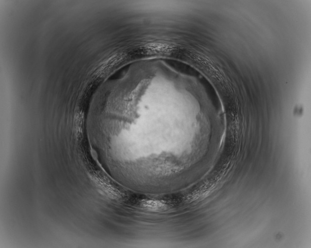 X0000100930649200807011222