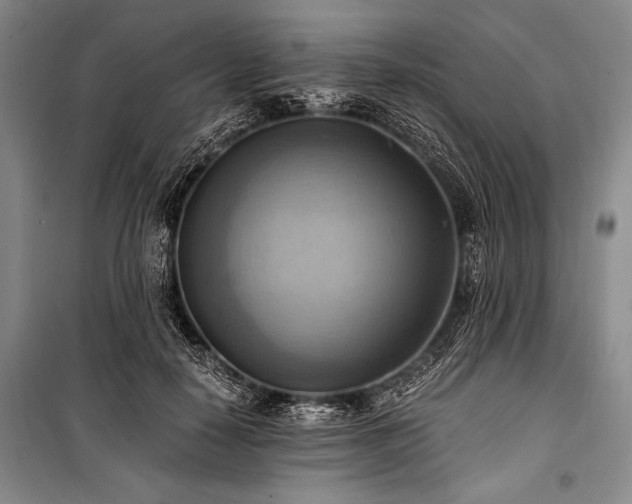 X0000100930650200807011222