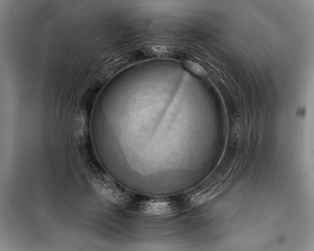 X0000100930651200807011222