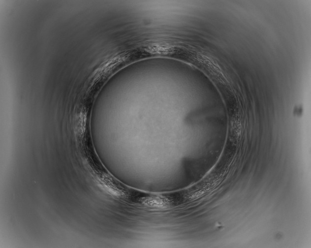 X0000100930652200807011222