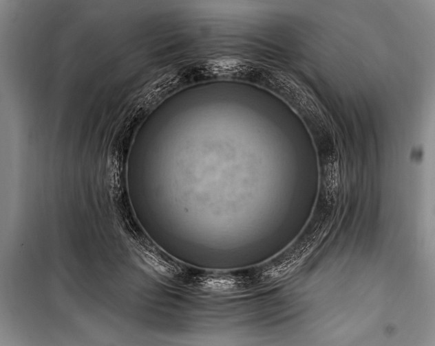 X0000100930653200807011222