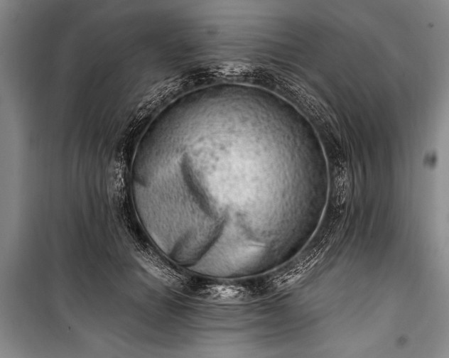 X0000100930654200807011222