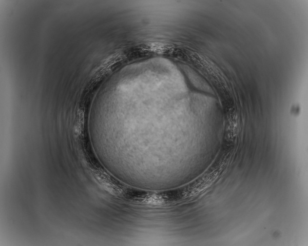 X0000100930656200807011222