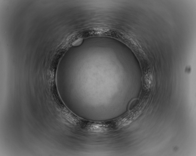 X0000100930657200807011222