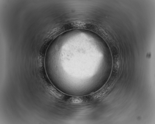 X0000100930658200807011222