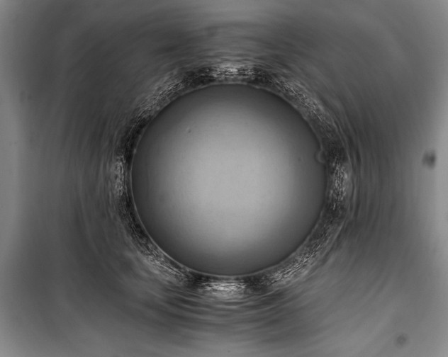 X0000100930659200807011222