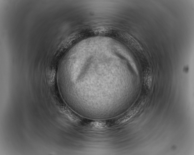 X0000100930660200807011222