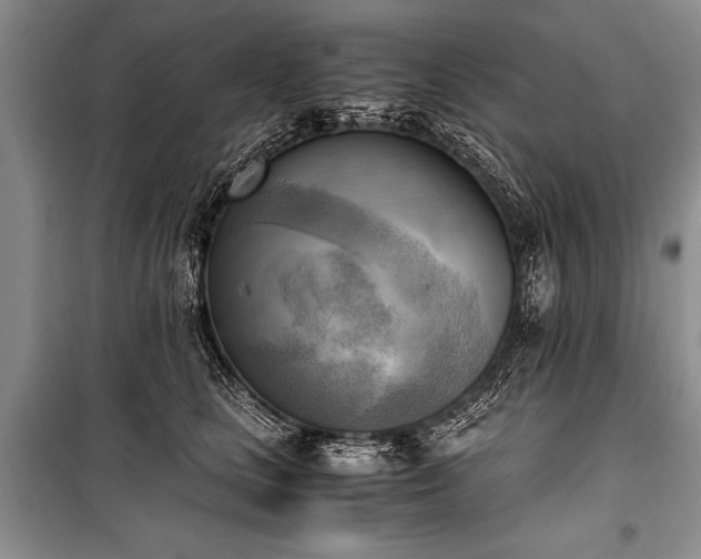 X0000100930661200807011222