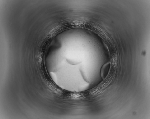 X0000100930662200807011222