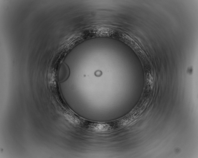 X0000100930663200807011222