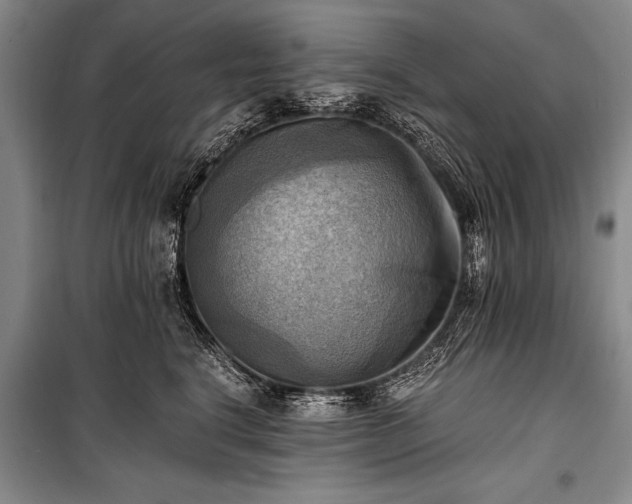 X0000100930664200807011222