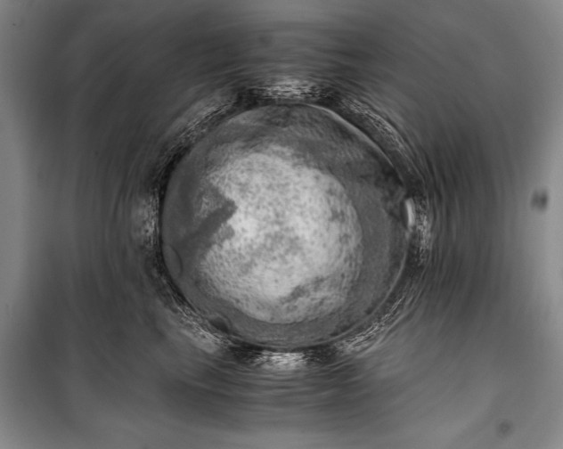 X0000100930665200807011222