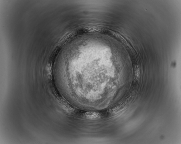 X0000100930667200807011222