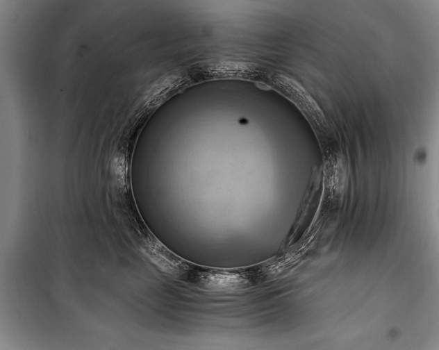 X0000100930669200807011222