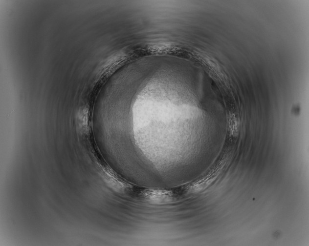 X0000100930670200807011222