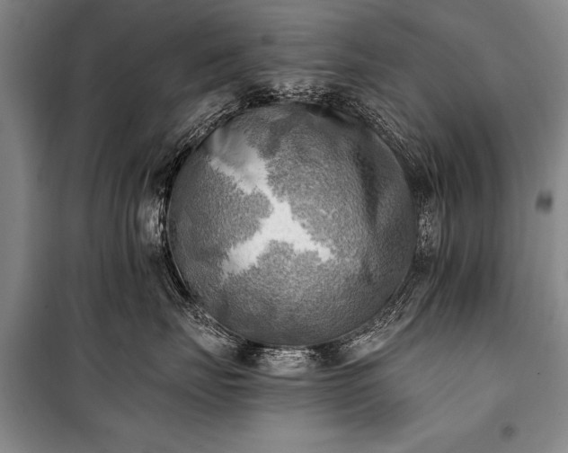 X0000100930671200807011222