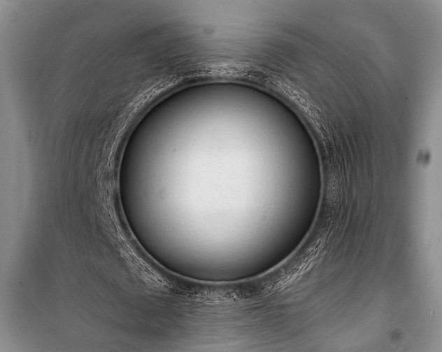 X0000100930673200807011222