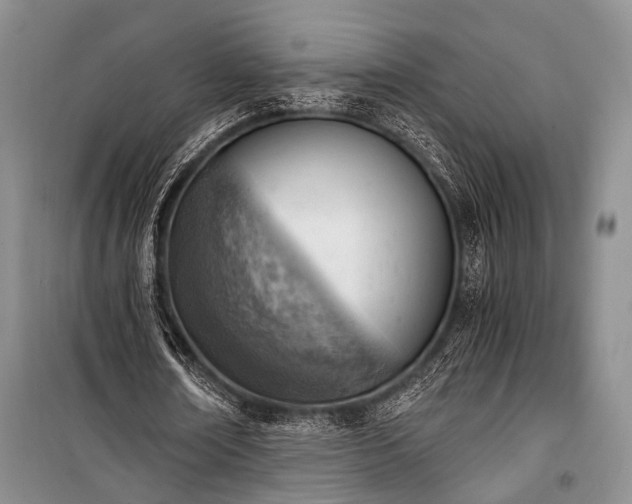 X0000100930674200807011222