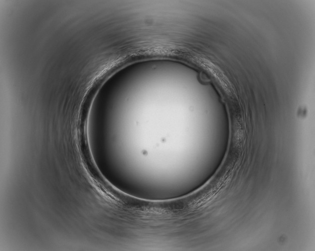 X0000100930677200807011222