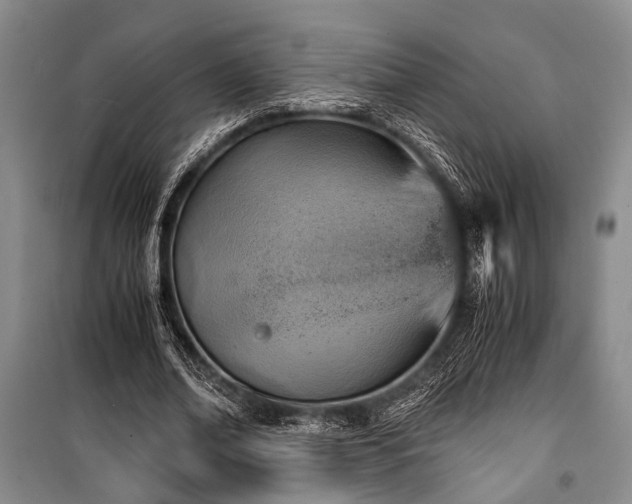 X0000100930678200807011222