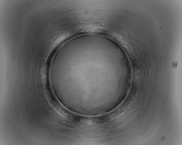 X0000100930679200807011222