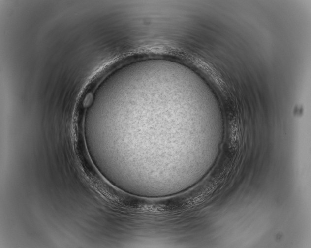 X0000100930680200807011222