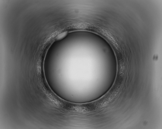 X0000100930681200807011222