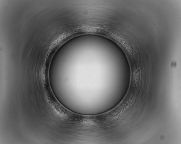 X0000100930682200807011222