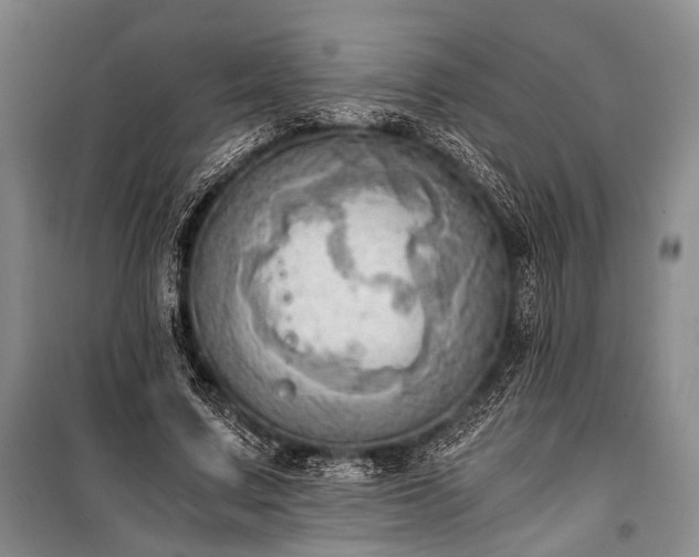 X0000100930683200807011222