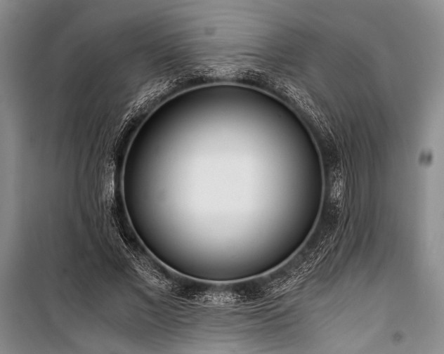 X0000100930685200807011222