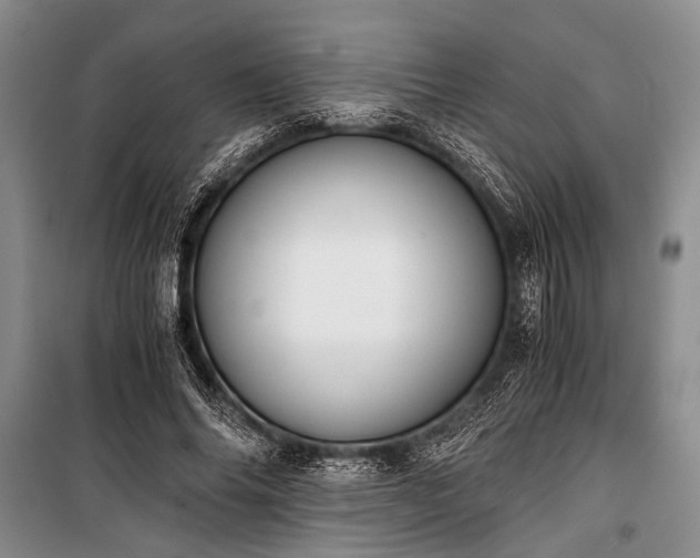 X0000100930686200807011222