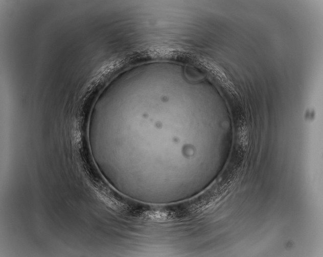 X0000100930687200807011222