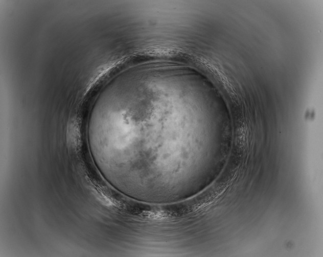 X0000100930688200807011222