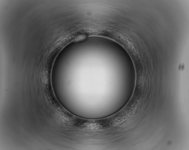 X0000100930689200807011222