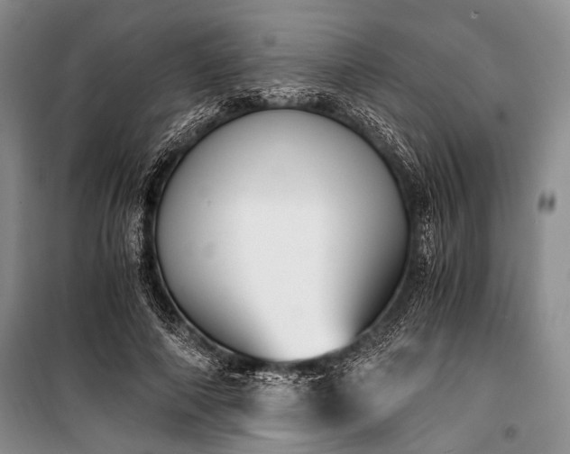 X0000100930690200807011222