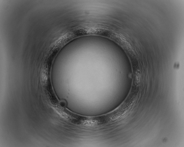 X0000100930691200807011222