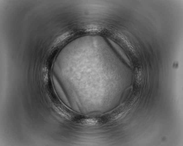 X0000100930692200807011222