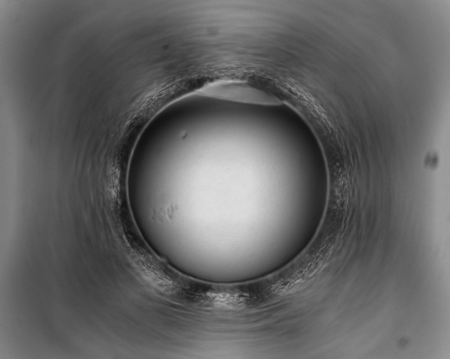 X0000100930693200807011222