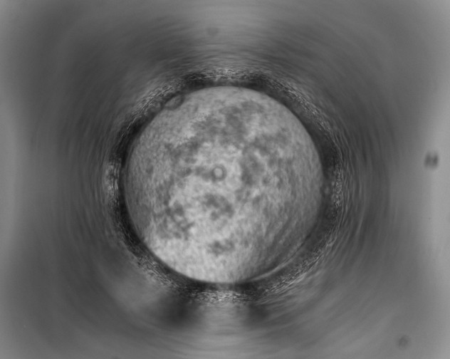 X0000100930695200807011221