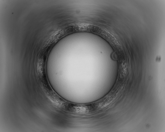 X0000100930698200807011221